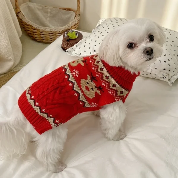 red-christmas-knit-dog-sweater Red Christmas knit dog sweater