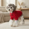 red-cozy-dog-sweater Red cozy dog sweater