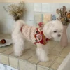 Red flower knit dog sweater