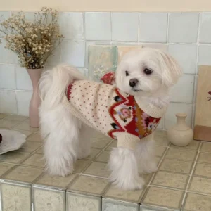 Red and white floral dog sweater