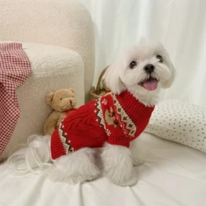 Rudolph red reindeer dog sweater