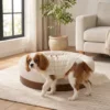 Sienna Oslo pet bed designed for dogs