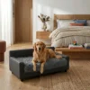 Benson gray orthopedic dog sofa bed for comfortable rest
