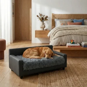 Benson orthopedic dog sofa bed designed for supportive comfort