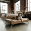 Everest Luxe dog bed providing supportive comfort for dogs