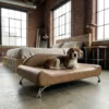 Everest orthopedic large dog bed designed for spacious comfort
