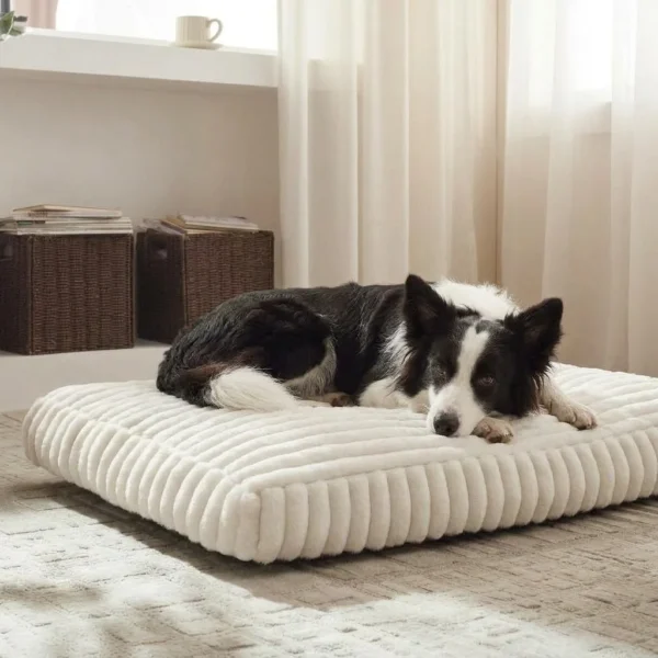 harper-comfort-foam-dog-bed Harper comfort foam dog bed designed for cozy rest