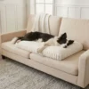 harper-dog-bed-comfort Harper dog bed with supportive foam for comfortable relaxation