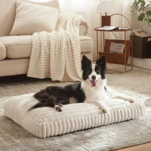 Harper foam dog bed for comfortable sleeping and rest