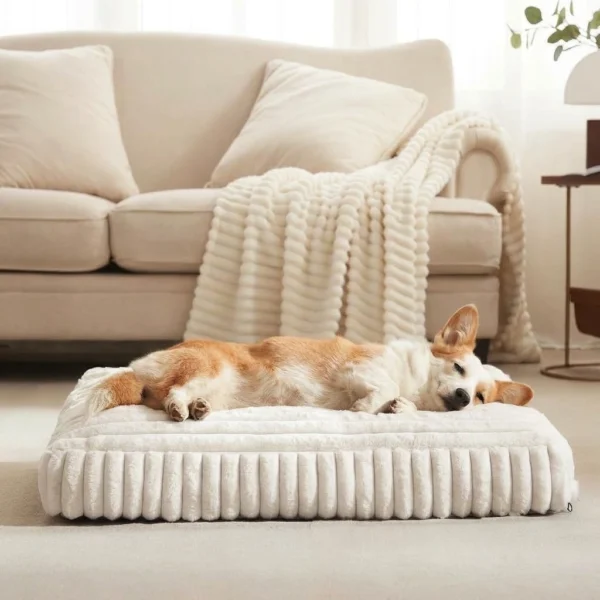 harper-foam-dog-bed-home Harper foam dog bed in a stylish home interior