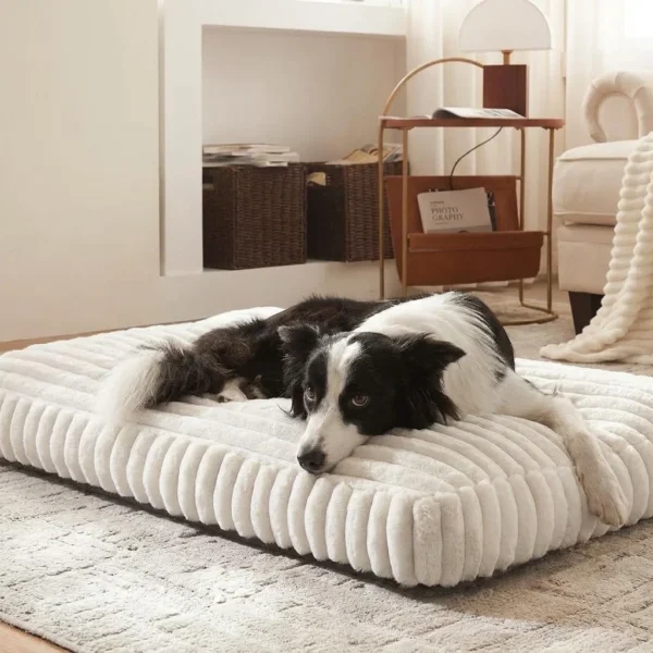 harper-foam-pet-bed Harper Foam Dog Bed