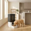 remy-smart-wifi-automatic-pet-feeder Remy Smart WiFi automatic pet feeder