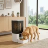 wifi-automatic-pet-food-dispenser WiFi automatic pet food dispenser